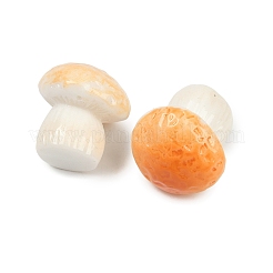 Украшения из смолы на тему грибов DJEW-S002-01B