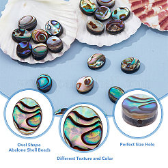 20 шт. бусины из ракушек абалона/пауа SSHEL-FI0001-03