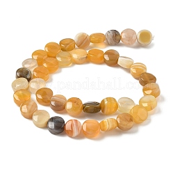 Натуральные бусины из желтого ботсванского агата G-F790-H04-01