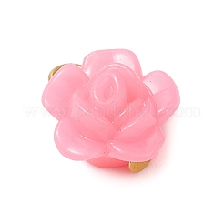 Непрозрачные акриловые подвески PALLOY-JF03305-02