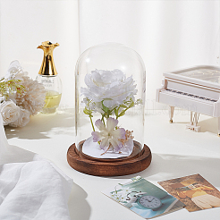 Стеклянный купол DIY-WH0110-22