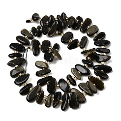 Естественный золотистый отлив обсидиан бисер пряди&nbsp;G-L649-A04-01