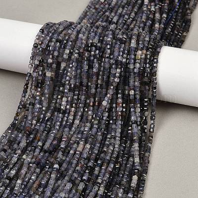 Природные иолит нитей бисера G-RM2025-C33-B-1