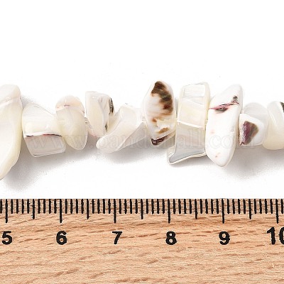 Нити бусин из натуральных трохоидных/трохус ракушек SHEL-B003-02J-1