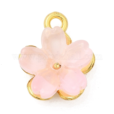 Сплав стекла амулеты&nbsp;FIND-C079-05G-01-1