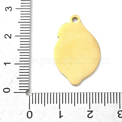 Подвески с фруктовой эмалью из нержавеющей стали 304 STAS-G362-04G-06-1