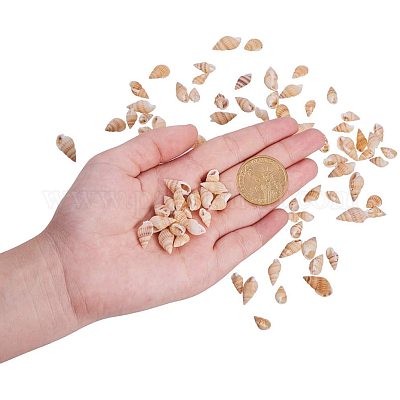 Натуральные спиральные бусы из ракушек SSHEL-PH0002-09-1