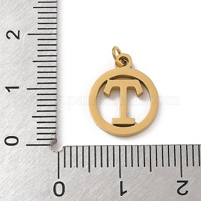 Подвески из нержавеющей стали 304 с соединительным кольцом STAS-R001-02G-T-1