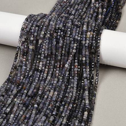 Природные иолит нитей бисера G-RM2025-C33-B-1