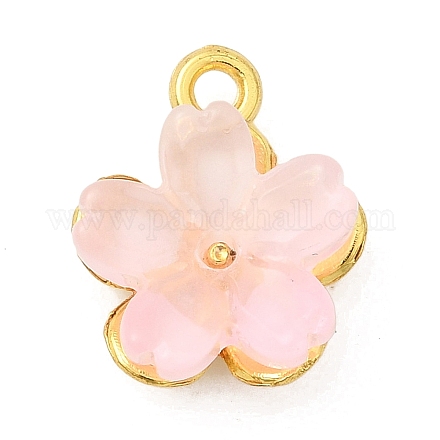 Сплав стекла амулеты&nbsp;FIND-C079-05G-01-1