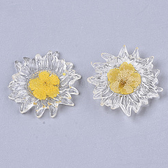 Прозрачные прозрачные кабошоны из эпоксидной смолы&nbsp;CRES-N025-02B