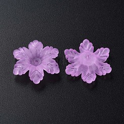 Прозрачные акриловые бусины MACR-S373-117-D04