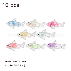 10 шт. прозрачные светящиеся акриловые подвески&nbsp;TACR-FP0001-02C