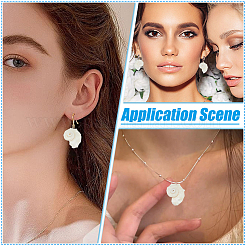 10 шт. подвески из натуральной морской ракушки SSHEL-ME0001-05