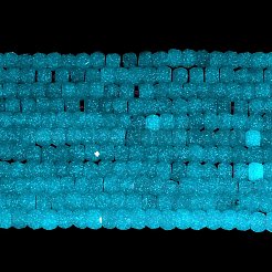 Синтетические светящиеся бусины&nbsp;G-C086-01A-03