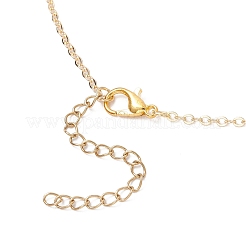 Хэллоуин сплав черная и красная эмаль роза крест кулон в форме гроба латунные тросовые цепочки ожерелья&nbsp;NJEW-JN05367