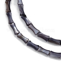 Нити бусин из натуральных пресноводных ракушек&nbsp;SHEL-G013-01K