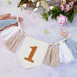 Баннеры с кисточками из плетеного хлопка в стиле богемы&nbsp;AJEW-WH0752-049A