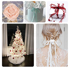 Лента из полиэстера длиной 5 м.&nbsp;OCOR-TA0002-60B