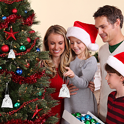 Сумочки из органзы OP-PH0001-19