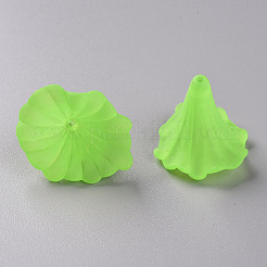 Прозрачные акриловые бусины&nbsp;BSF796-C18