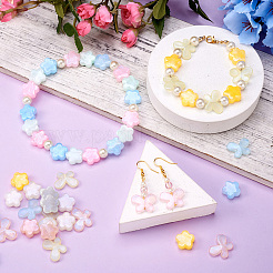 140 шт. 14 вида бусин из акриловой смолы&nbsp;OACR-TA0001-28