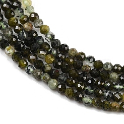 Природные пренит нитей бисера&nbsp;LS-G-L628-B11-2mm