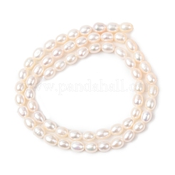 Нити из натурального культивированного пресноводного жемчуга&nbsp;PEAR-F020-01B