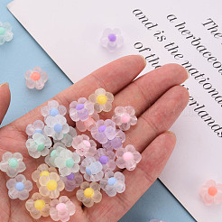 Прозрачные акриловые бусины&nbsp;TACR-S152-06C