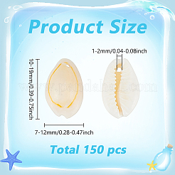 240 г подвески из натуральной раковины каури BSHE-ME0001-07