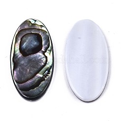 Кабошоны из натурального морского ушка SSHEL-N034-74