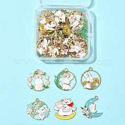 30шт 15 стиля подвески из сплава с эмалью&nbsp;ENAM-FS0003-64