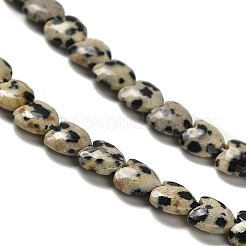 Природные яшмы далматин бисер нитей G-P575-C03-6mm