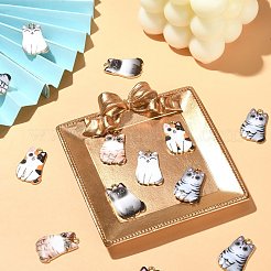 30шт 5 стиля подвески из сплава с эмалью&nbsp;ENAM-CJ0004-47