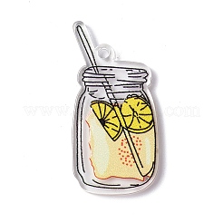 Прозрачные акриловые подвески с принтом&nbsp;LS-TACR-G042-01D