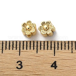 Латунные бусины&nbsp;KK-P256-04G