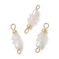 12 шт. 12-цветные подвески-коннекторы из натурального искусственного пресноводного жемчуга и акрила с матовым цветком PALLOY-JF03590