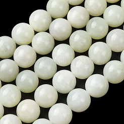 Природного нефрита Xiuyan бисер нитей&nbsp;G-H343-D13-12mm