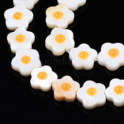 Нити бусин из натуральных пресноводных ракушек&nbsp;SHEL-N003-31B-01