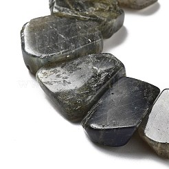 Природные лабрадорита бисер нитей G-P528-K10-01