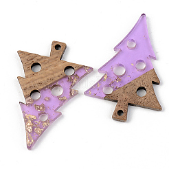 Подвески из прозрачной смолы и ореха&nbsp;RESI-S389-030A-B01