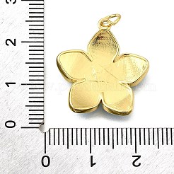 Латунь эмаль подвески KK-V011-29G-D