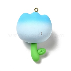 Большие подвески из пластика и смолы из ПВХ&nbsp;PVC-K001-01D