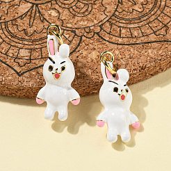 Подвески из латуни с эмалью в стойку KK-S366-01G