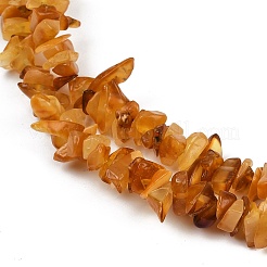 Натуральные янтарные бусины бусины нити G-Q060-C05