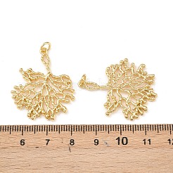 Латунные подвески&nbsp;KK-L255-01G-04