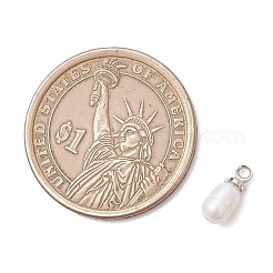 Натуральные культивированные пресноводные жемчужные рисовые подвески&nbsp;PALLOY-JF05090