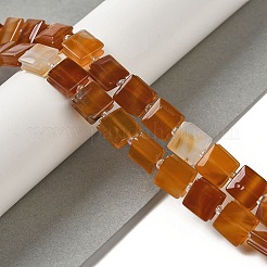 Натуральный красный агат бисер нитей G-L596-A21-01