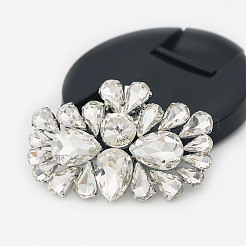 Съемные зажимы для обуви из легированного стекла FIND-WH0423-71RG