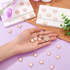 26 шт. Подвески из сплава с эмалью&nbsp;ENAM-TA0002-86A